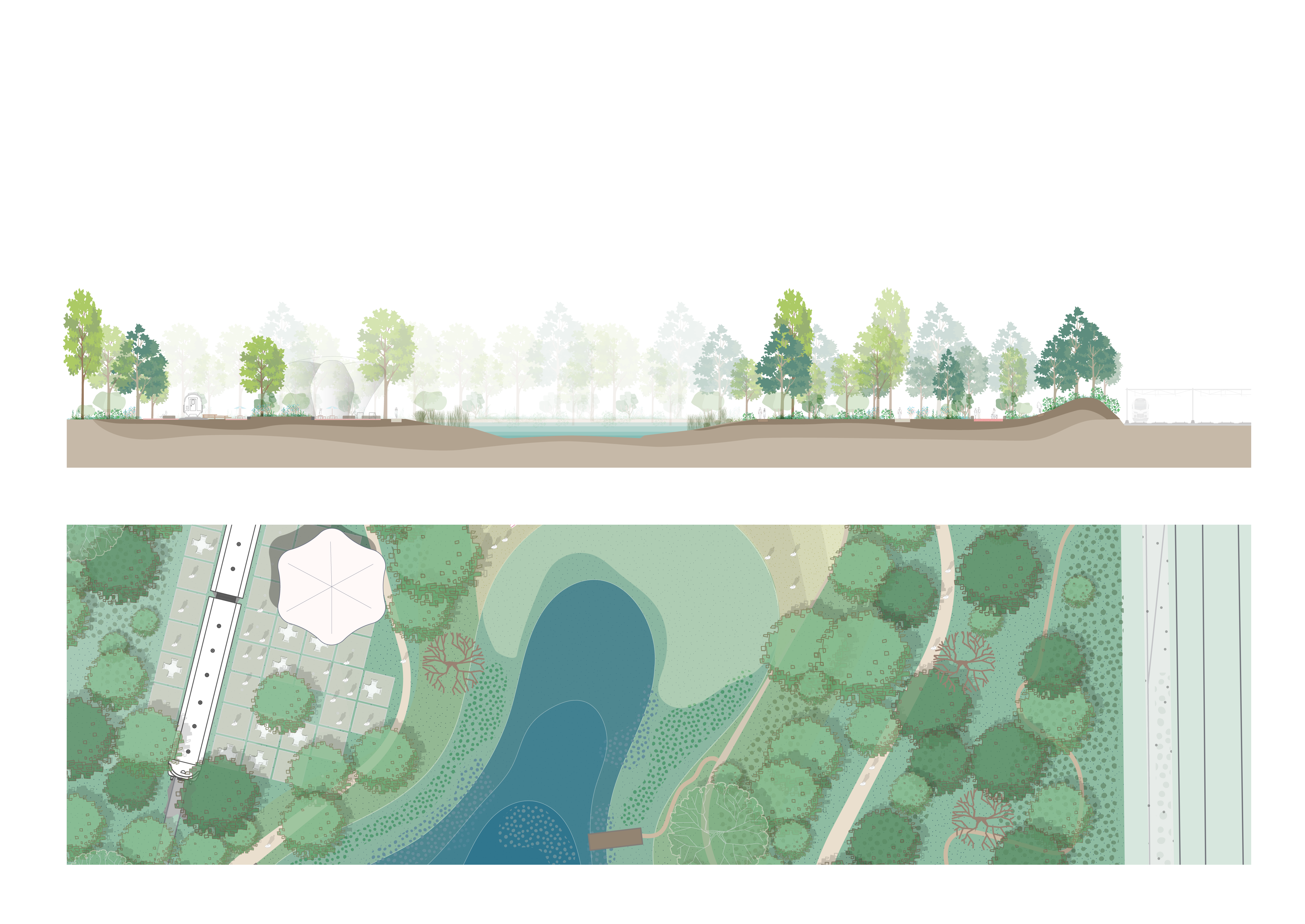 260205 Section Park 03