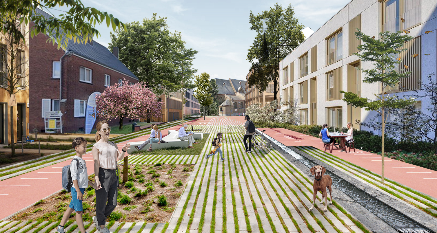 Tessenderlo Ooghoogte