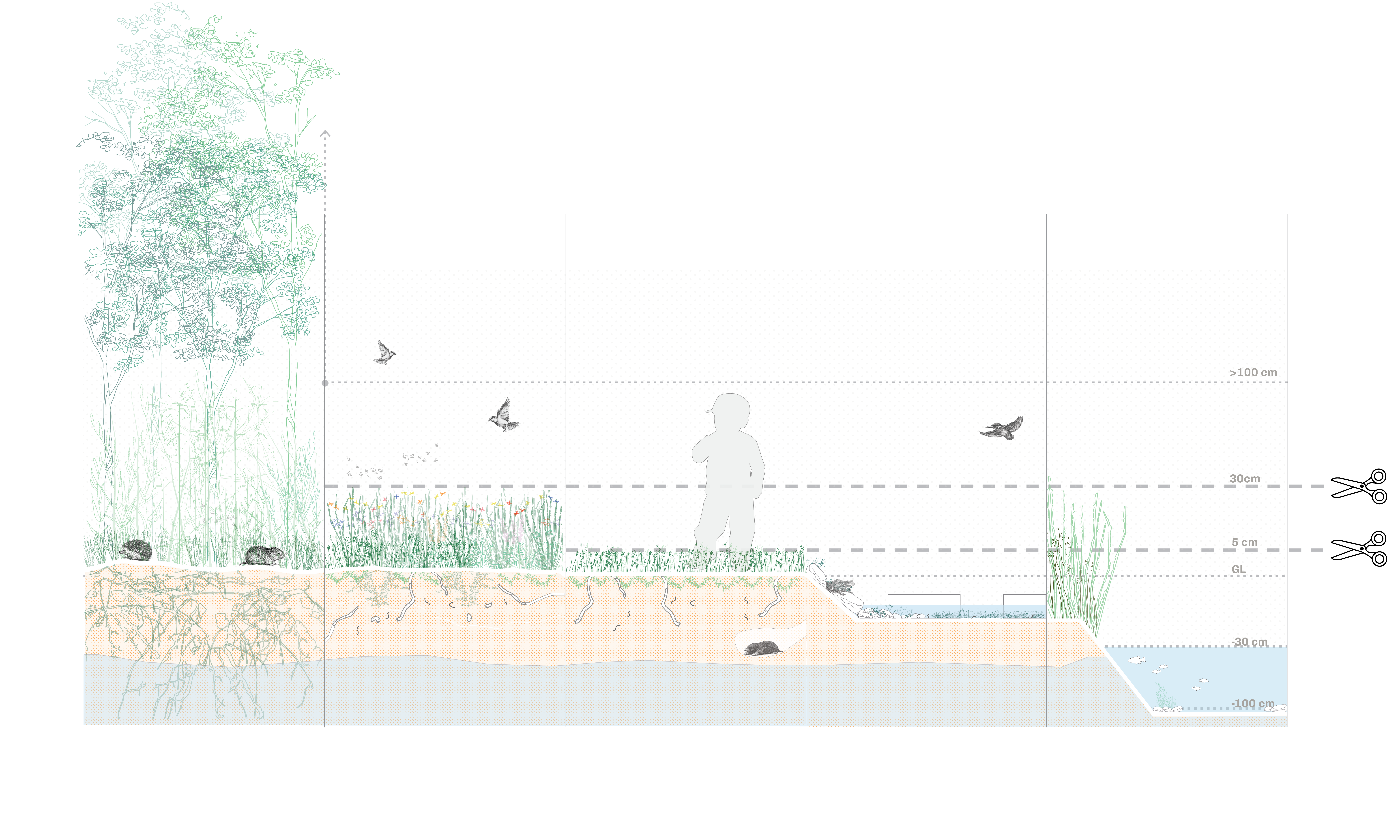 260305 Landscape Section [Recovered]