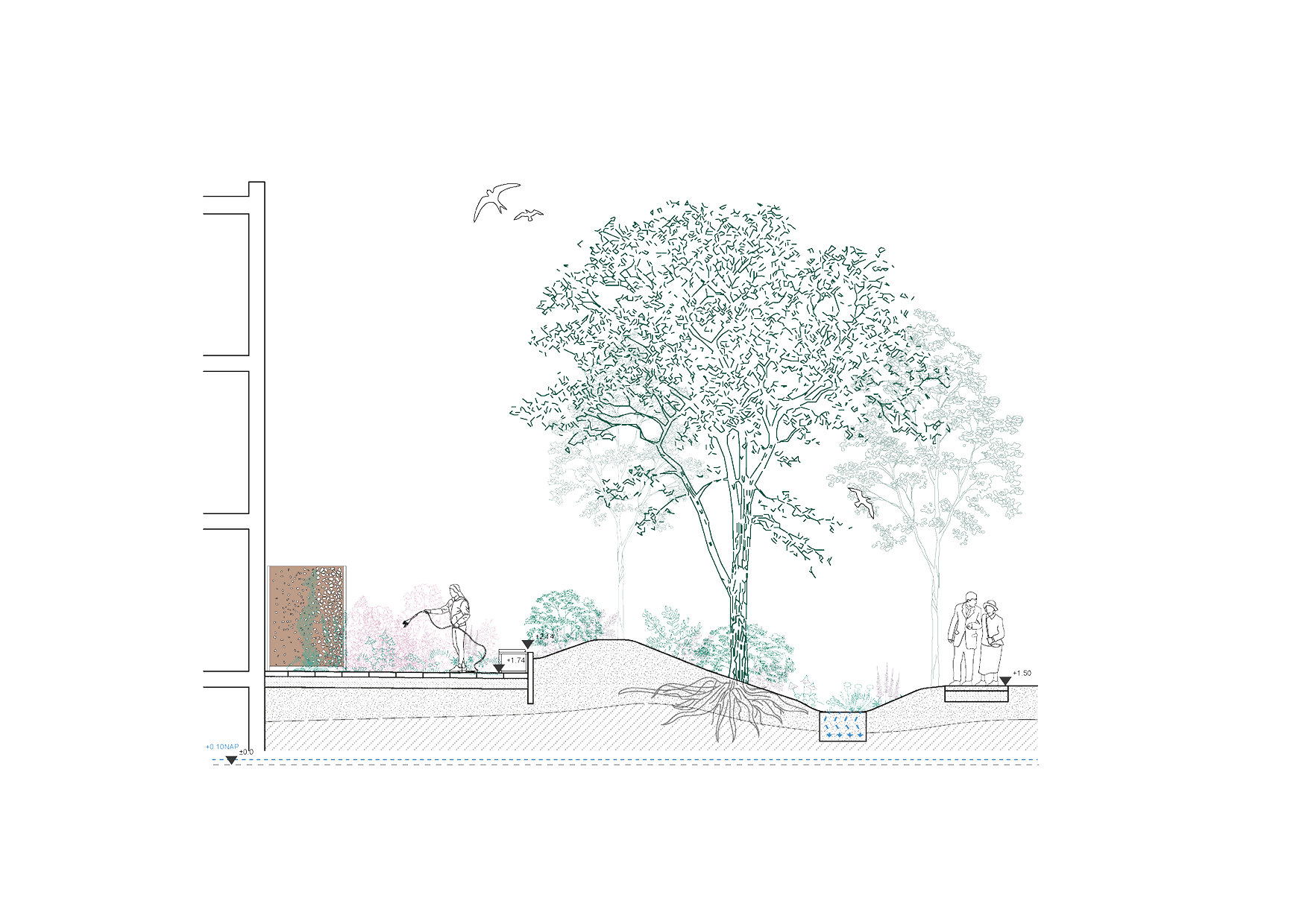 240603 W E B S I T E E N T R E E5