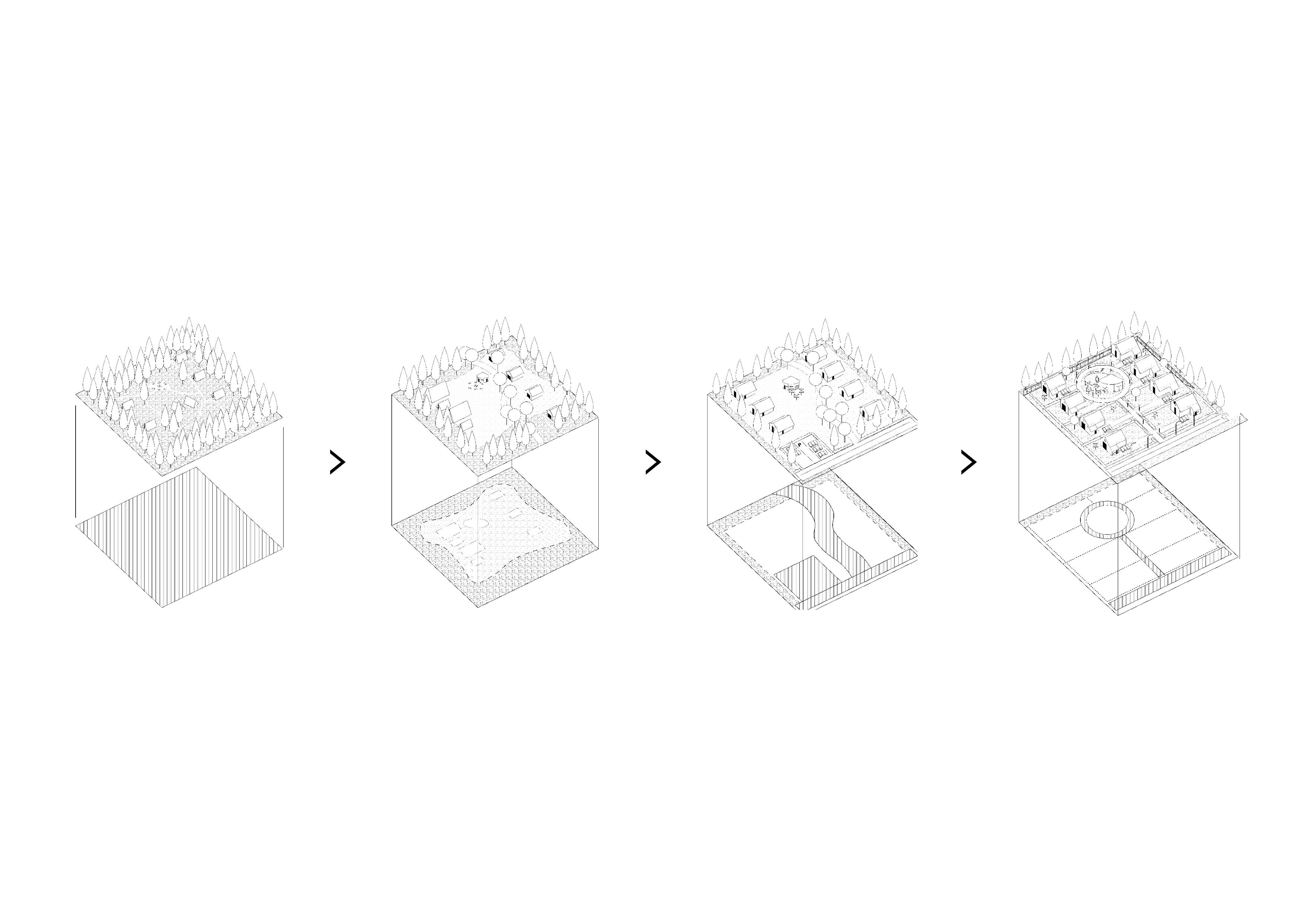 Website Small Axo Together
