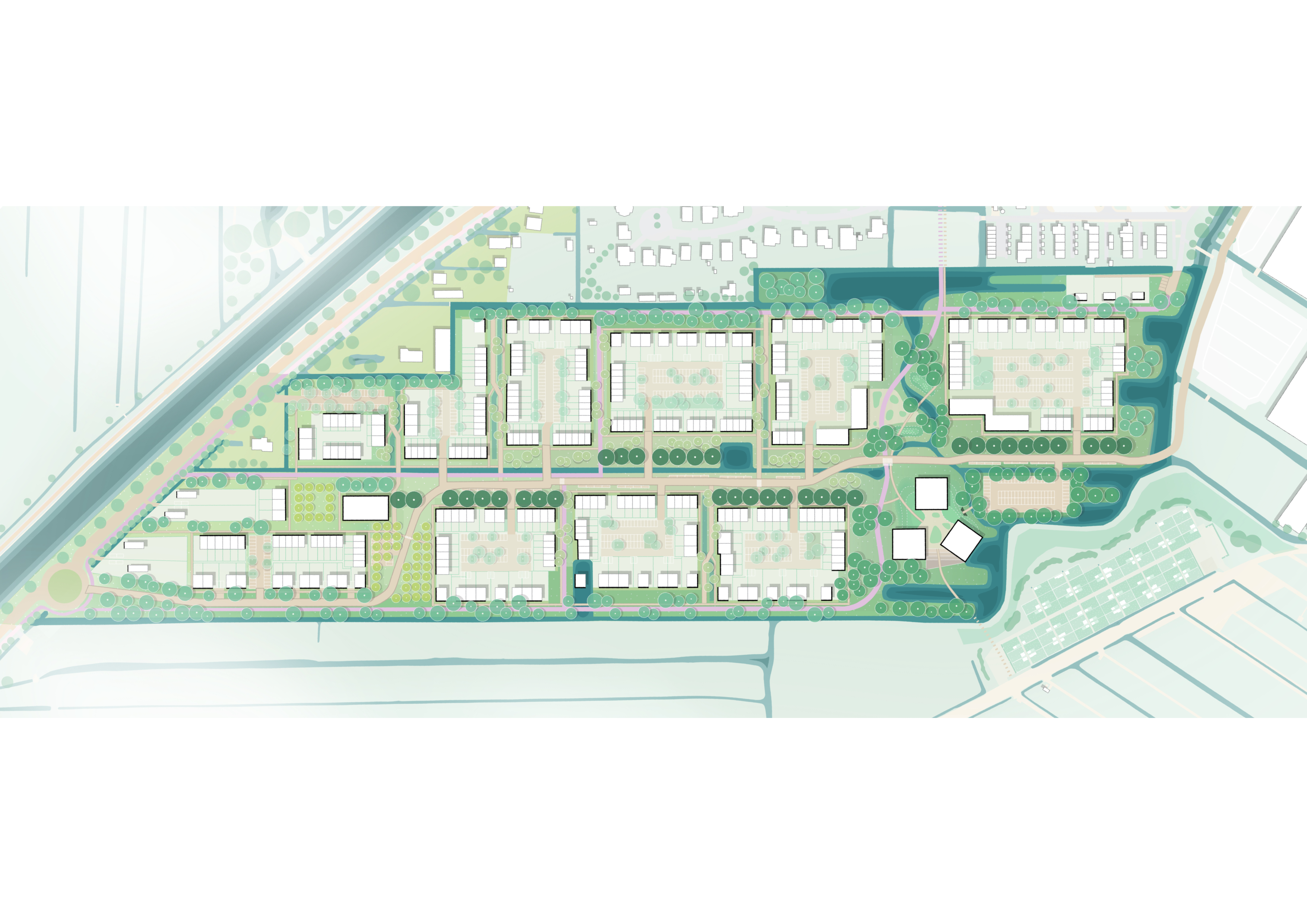 Website Plan