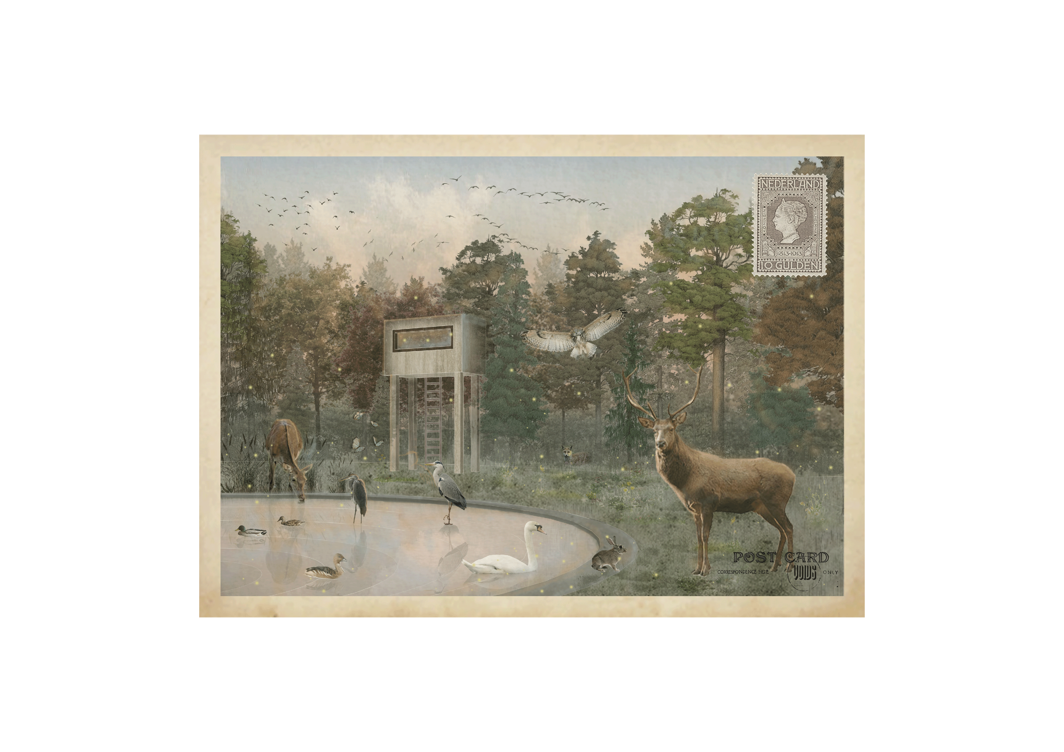 Example Image3