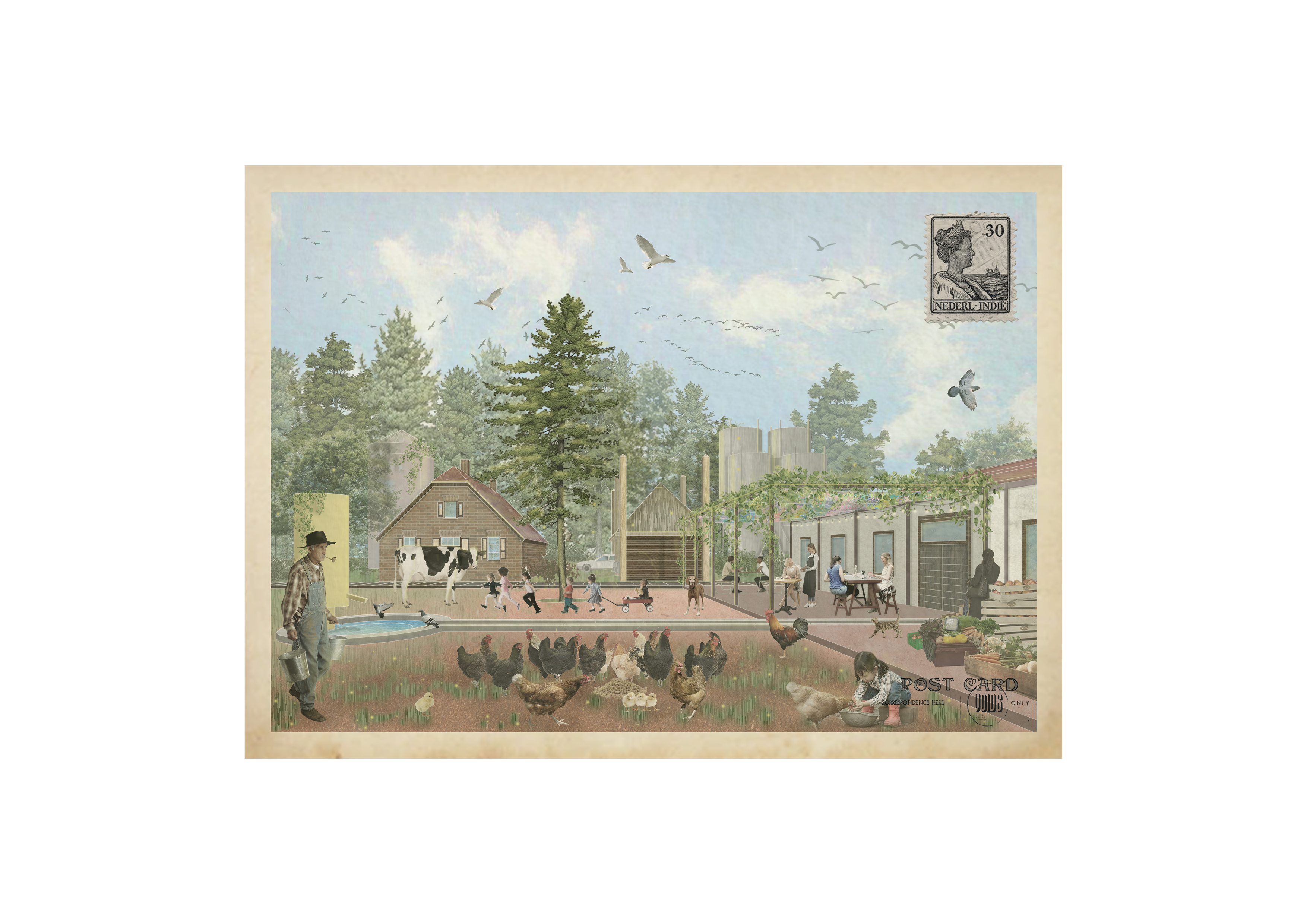Example Image5